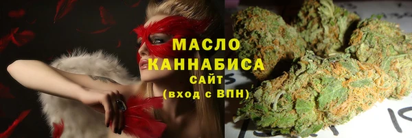 сатива Новокубанск