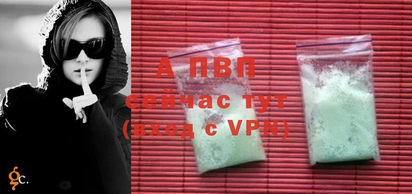индика Новодвинск