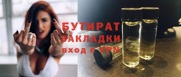 индика Новодвинск