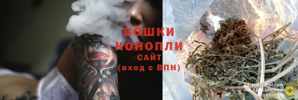PSILOCYBIN Новозыбков
