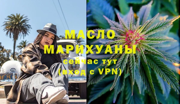 индика Новодвинск