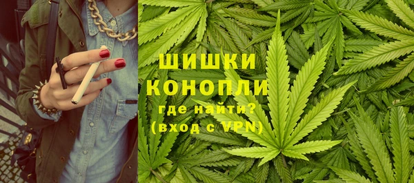 PSILOCYBIN Новозыбков