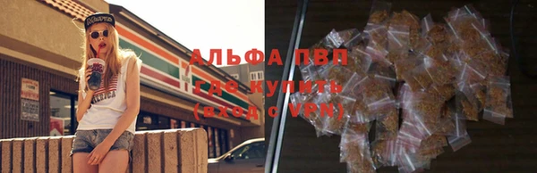 сатива Новокубанск