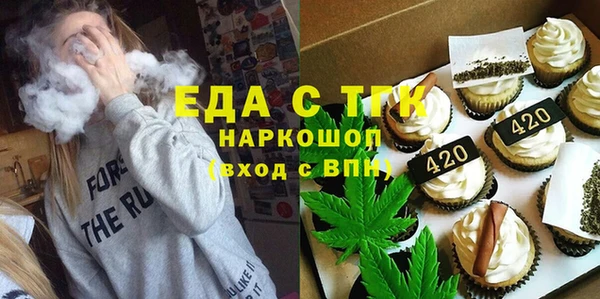 индика Новодвинск