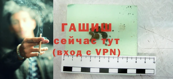 индика Новодвинск