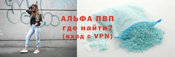 сатива Новокубанск