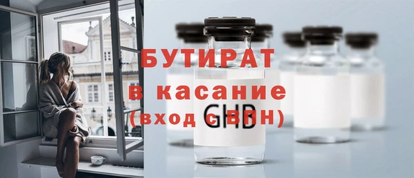 индика Новодвинск