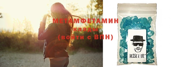 индика Новодвинск
