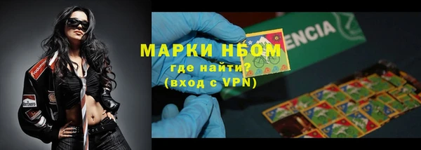 PSILOCYBIN Новозыбков
