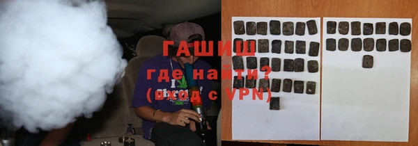 индика Новодвинск