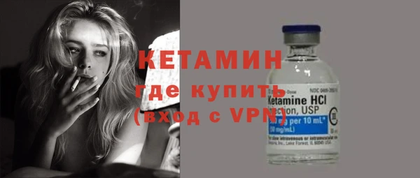 сатива Новокубанск