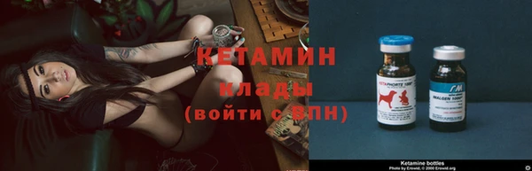 индика Новодвинск