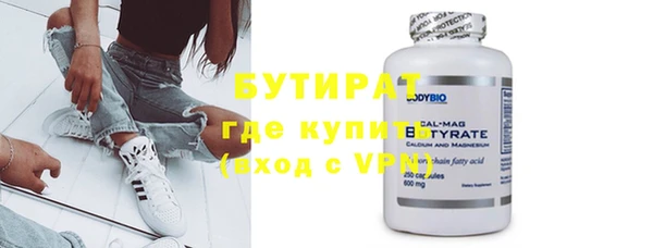 индика Новодвинск