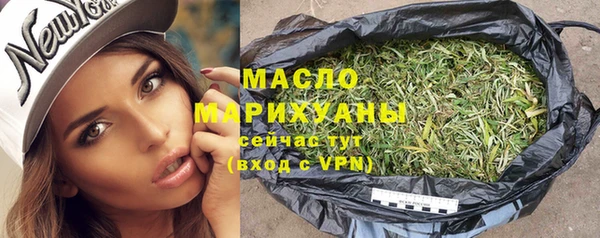 индика Новодвинск