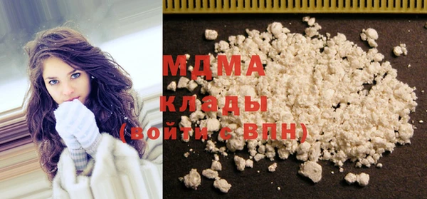 индика Новодвинск