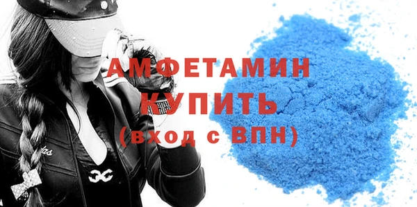 индика Новодвинск