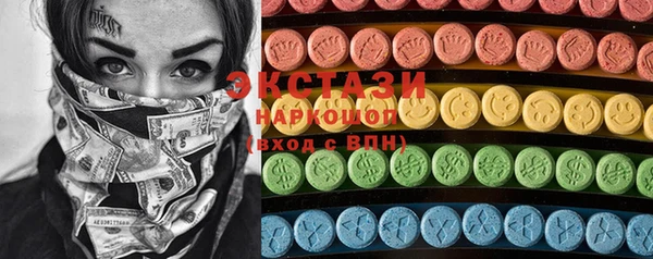 индика Новодвинск
