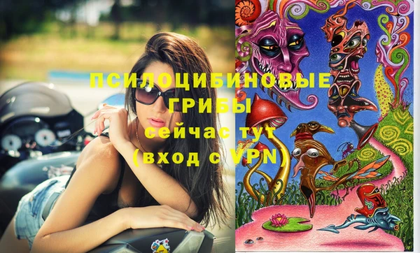 сатива Новокубанск