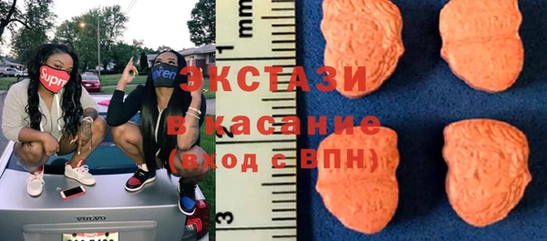 сатива Новокубанск