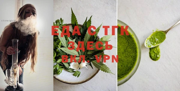 индика Новодвинск