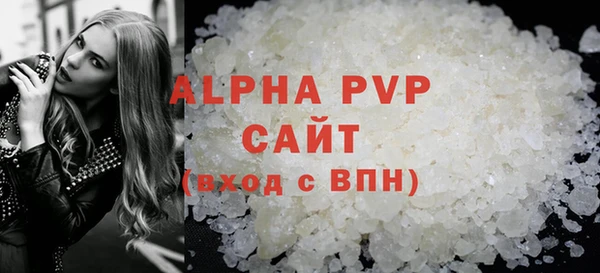 индика Новодвинск