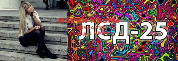 PSILOCYBIN Новозыбков