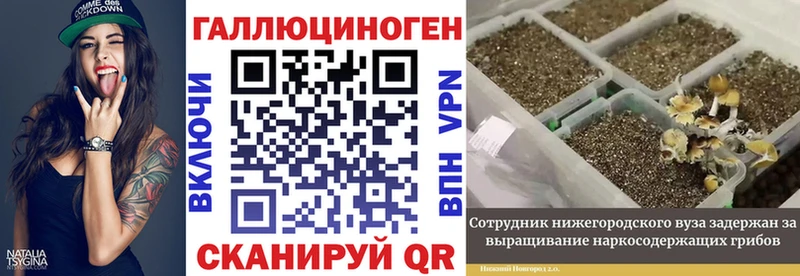 Галлюциногенные грибы Magic Shrooms Черногорск